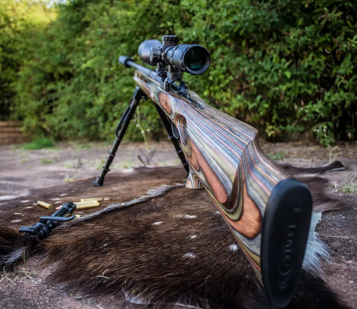 Binoculars vs Spotting Scope: Which Optical Tool Suits Your Birdwatching?
